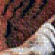Preview of cross stitch pattern: #512621