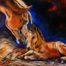 Cross stitch pattern: #512709