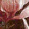 Preview of cross stitch pattern: #512833