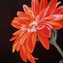 Cross stitch pattern: #512850
