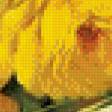 Preview of cross stitch pattern: #513375