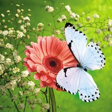 Cross stitch pattern: #514381