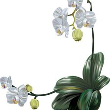 Cross stitch pattern: #514628