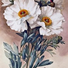 Cross stitch pattern: #514841