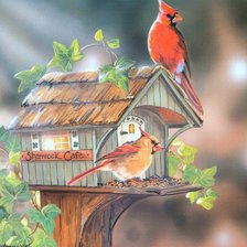 Cross stitch pattern: #515223