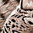 Preview of cross stitch pattern: #515269