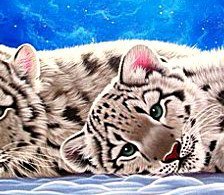 Cross stitch pattern: #515269