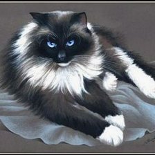 Cross stitch pattern: #515583