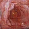 Preview of cross stitch pattern: #515625