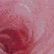 Preview of cross stitch pattern: #515641