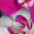 Preview of cross stitch pattern: #515714