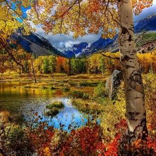 Cross stitch pattern: #515868