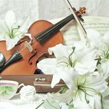 Cross stitch pattern: #516207