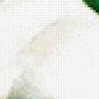 Preview of cross stitch pattern: #517010