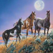 Cross stitch pattern: #517464