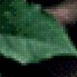 Preview of cross stitch pattern: #517470