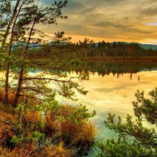 Cross stitch pattern: #517488