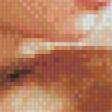 Preview of cross stitch pattern: #517492