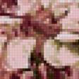 Preview of cross stitch pattern: #517504