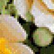 Preview of cross stitch pattern: #517506