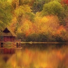 Cross stitch pattern: #517509