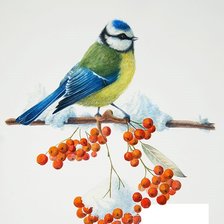 Cross stitch pattern: #517584