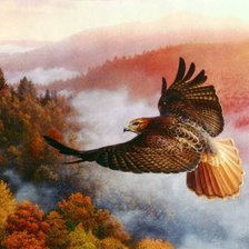 Cross stitch pattern: #517599