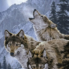 Cross stitch pattern: #517607