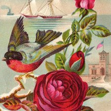 Cross stitch pattern: #517805