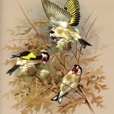 Cross stitch pattern: #518340