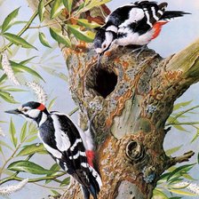 Cross stitch pattern: #518341