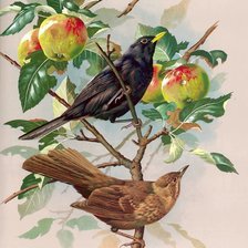 Cross stitch pattern: #518345