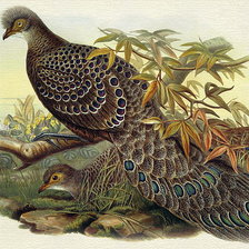 Cross stitch pattern: #518354