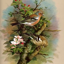 Cross stitch pattern: #518357