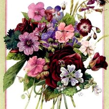 Cross stitch pattern: #518371