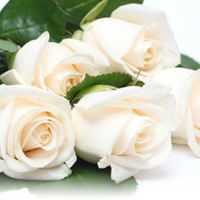 Cross stitch pattern: #518757