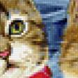 Preview of cross stitch pattern: #518829