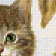 Preview of cross stitch pattern: #518861