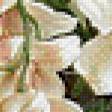 Preview of cross stitch pattern: #518934