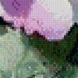 Preview of cross stitch pattern: #519020