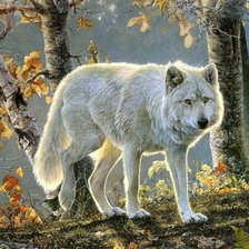 Cross stitch pattern: #519024