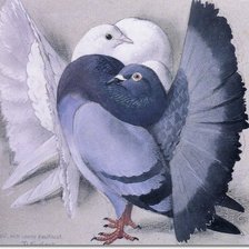 Cross stitch pattern: #519025