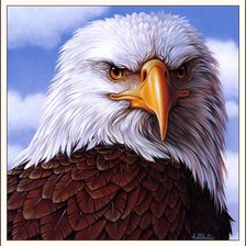Cross stitch pattern: #519030
