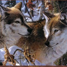 Cross stitch pattern: #519044