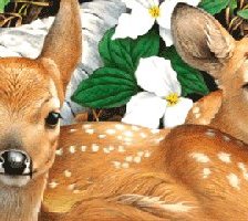 Cross stitch pattern: #519062
