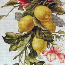 Cross stitch pattern: #519143