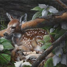 Cross stitch pattern: #519193