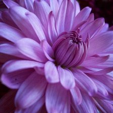 Cross stitch pattern: #519367