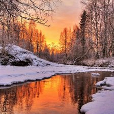 Cross stitch pattern: #519566