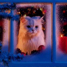 Cross stitch pattern: #519718